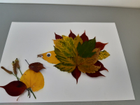 20191022_131043 20191022_131043