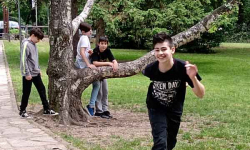 sos_galerija-4-of-14