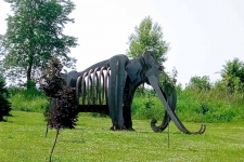 IMG-1410a6de5582899d8e283ec6f54a750f-V