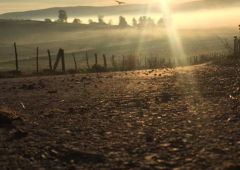 Foto konkurs: Portret jeseni 2022