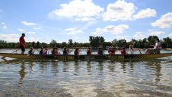 135A6832.00_16_05_20.Still025