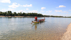 135A6832.00_16_36_17.Still027