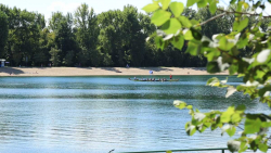 1_135A6832.00_34_31_02.Still055