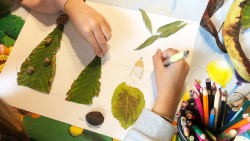 Galerija12_kolekcija_jesen Galerija12_kolekcija_jesen