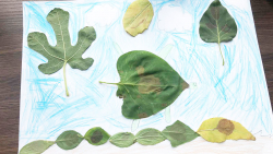 Galerija18_kolekcija_jesen Galerija18_kolekcija_jesen