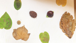 Galerija20_kolekcija_jesen Galerija20_kolekcija_jesen