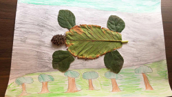 Galerija5_kolekcija_jesen Galerija5_kolekcija_jesen