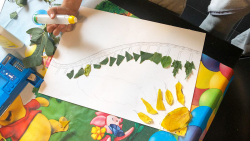 Galerija6_kolekcija_jesen Galerija6_kolekcija_jesen