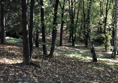 Jesenji foto konkurs