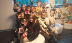 Jesenji kutak 11 Jesenji kutak 11