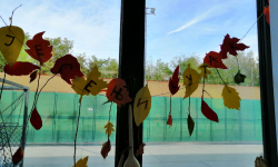 Jesenji kutak 08 Jesenji kutak 08