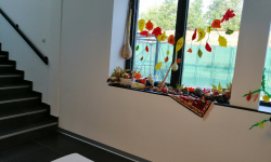 Jesenji kutak 07 Jesenji kutak 07