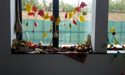 Jesenji kutak 01 Jesenji kutak 01