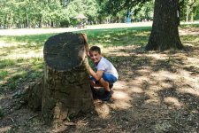 IMG-422ac820a9ef66e0f6901be0076abf61-V