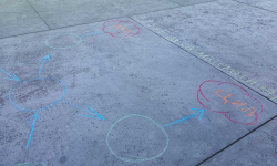 SOS_matematicka_sekcija-1