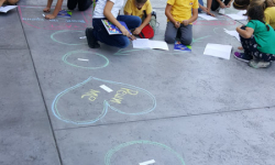 SOS_matematicka_sekcija-8