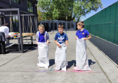 Međunarodni dan igre