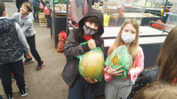 Galerija2_pijaca_SOS