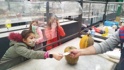 Galerija3_pijaca_SOS