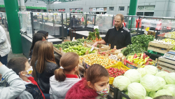 Galerija4_pijaca_SOS