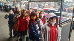 Galerija7_pijaca_SOS