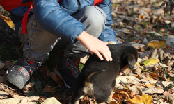 filip-stankovic-II-1