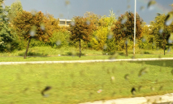 lola-krasimirova-zeleva-I-1