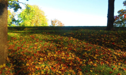 teodora-vojnovic-II1