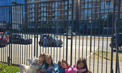 IMG-9e6be4706e16962544aed5d8da3218f8-V