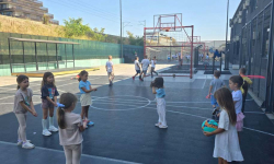 IMG-d416422fea68ae582379ad88bf523a72-V