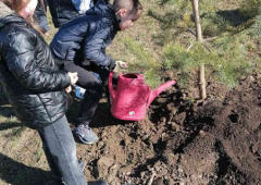 Sadnja drveća u parku „Ušće”