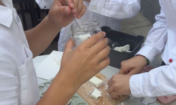 9BA2A64A-4C99-46C0-BC1E-768700F98E2F_1_102_o