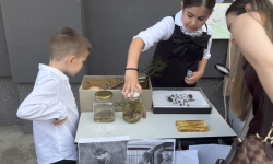 AC4026BC-818F-4E2B-96D7-1ED88FEE6B82_1_201_a