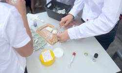 D161BBB7-EBEC-4D67-9157-729CE746A9A9_1_201_a