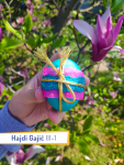 Hajdi-Gajic-III-1 Hajdi-Gajic-III-1