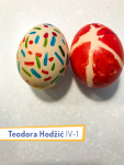 Teodora-Hodzic-4_1 Teodora-Hodzic-4_1