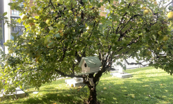 Image_20251022_215025_595 Image_20251022_215025_595