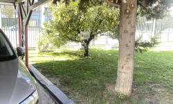 Image_20251022_215026_728 Image_20251022_215026_728