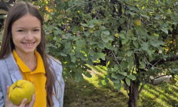 viber_slika_2025-10-22_12-48-38-198 viber_slika_2025-10-22_12-48-38-198