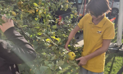 viber_slika_2025-10-22_12-48-38-304 viber_slika_2025-10-22_12-48-38-304