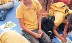 Muzej-Jevrema-Grujica-12