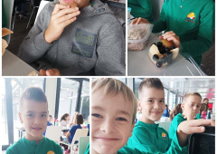 Stariji brat, sestra