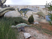 20191104_121143 20191104_121143