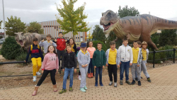 20191104_121159 20191104_121159