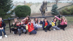 20191104_121239 20191104_121239