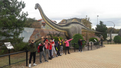 20191104_121330 20191104_121330