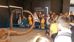 20191104_131608 20191104_131608