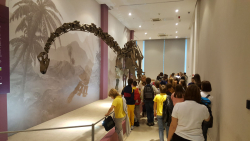 20191104_134807 20191104_134807