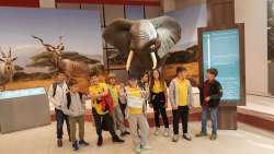 20191104_135945 20191104_135945