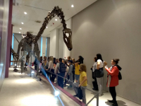 Prirodnjački muzej 64 Prirodnjački muzej 64